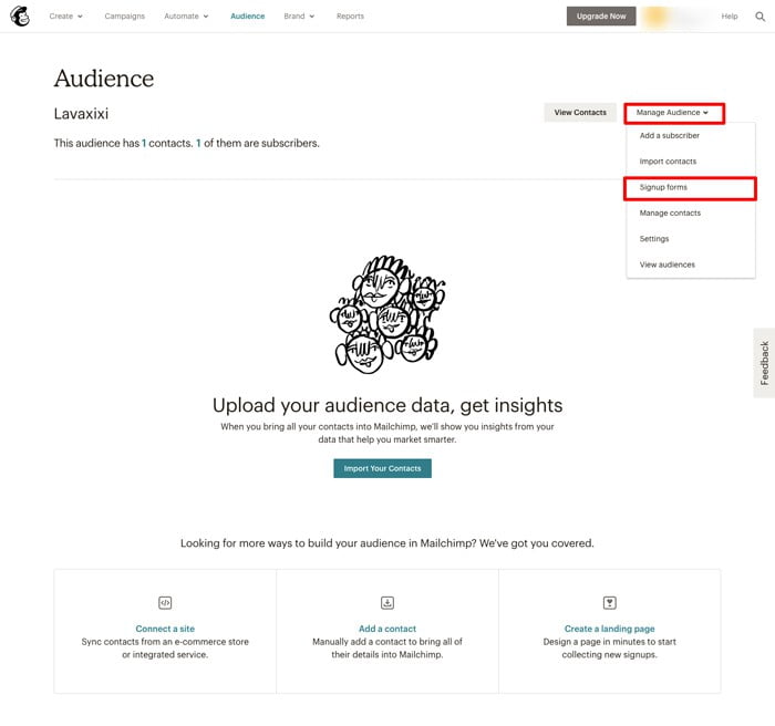 Click Manage Audience và chọn Signup Form