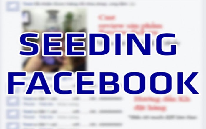 Seeding facebook là gì?
