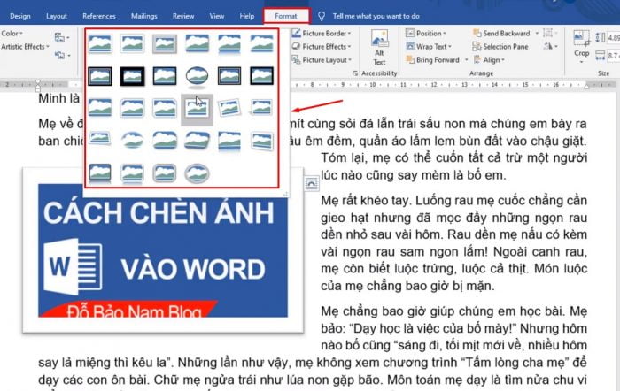 Chọn Format > và chọn Style cho ảnh tùy chọn của bạn