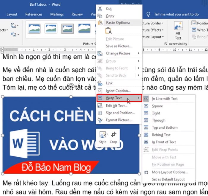 Click chuột phải vào ảnh chọn Wrap Text > chọn các kiểu chèn ảnh vào văn bản tùy chọn