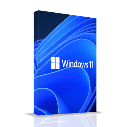 Windows 11 Pro Key Global 4