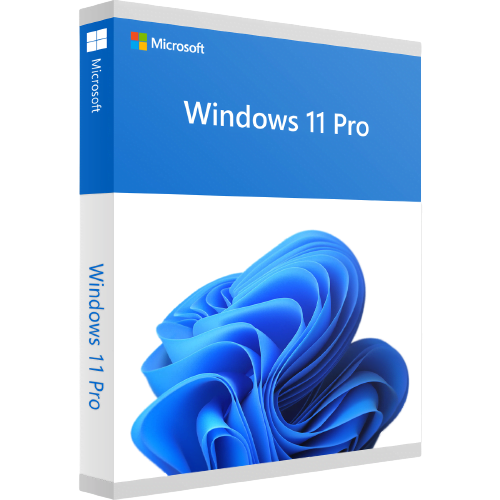 Windows 11 Pro Key Global 17