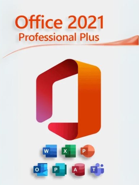 Office 2021 Professional Plus 53