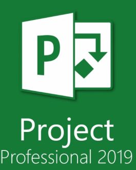 Microsoft Project 2019 Professional (1 máy/ vĩnh viễn)
