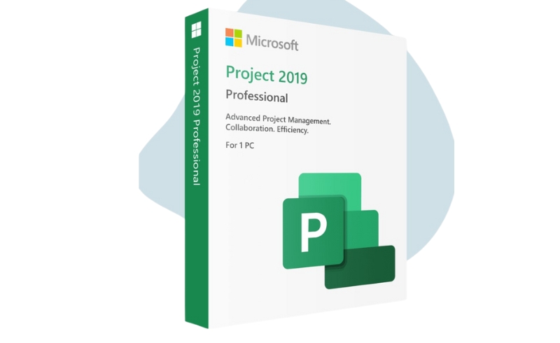Microsoft Project 2019 Professional (1 máy/ vĩnh viễn) 5