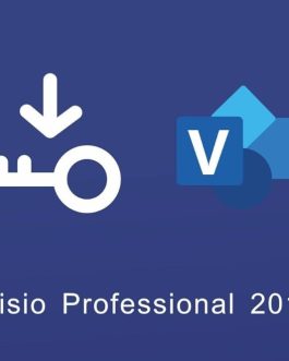 Microsoft Visio 2019 professional (1 máy/ vĩnh viễn)