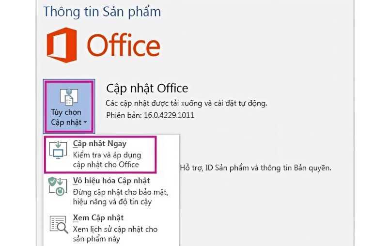 Office 2016 Professional Plus ( tài khoản cá nhân ) 7