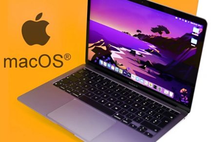 Office 2019 Home And Business Cho Mac (tài khoản cá nhân) - Hình ảnh 3