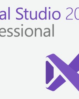 Microsoft Visual Studio 2019 professional (1 máy/ vĩnh viễn)