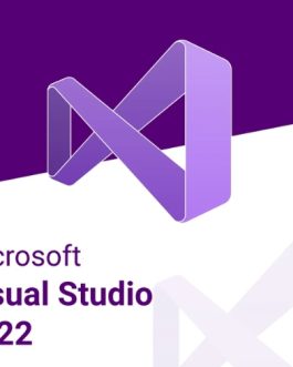 Microsoft Visual Studio 2022 professional (1 máy/ vĩnh viễn)