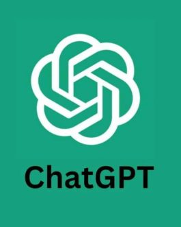 Chat GPT team (1 tháng)