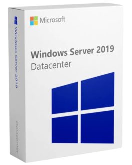 Windows Server 2019 Datacenter (1 máy)