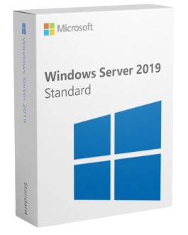 Windows Server 2019 Standard (1 máy)