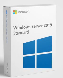 Windows Server 2019 Standard (1 máy)