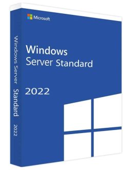Windows Server 2022 Standard (1 máy)
