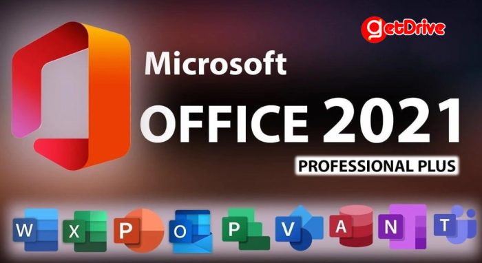 Office 2021 Professional Plus 55